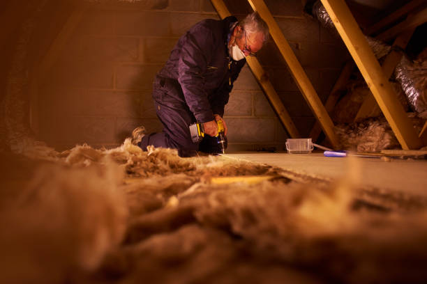 Best Specialty Insulation in Ferguson, MO